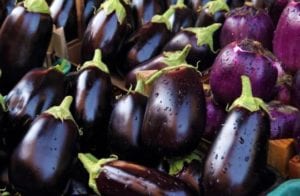 Aubergines