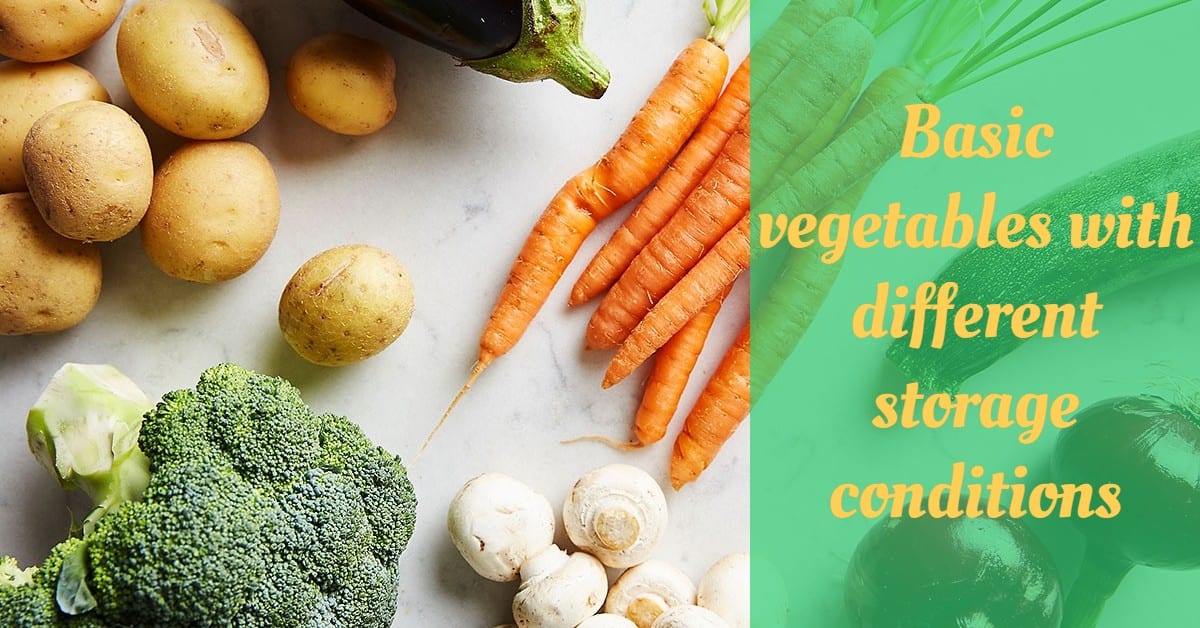 Basic vegetables with different storage conditions