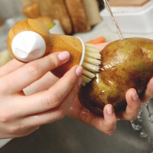 Vegetable Brushes 