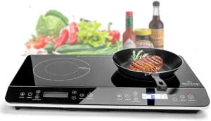 Portable Induction Cooktop